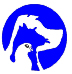 Pet Care Hospital Logo